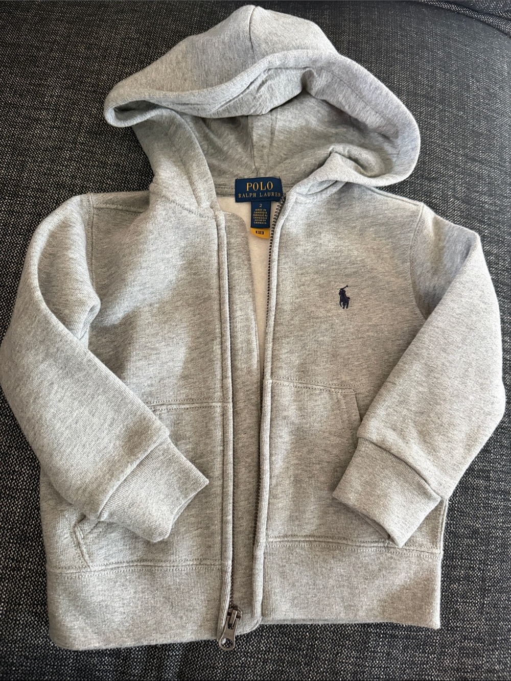 Polo by Ralph Lauren Heather Gray Kids Zip-Up Hoodie with Pony